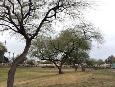 Photos by Happy Tree Landscaping #1