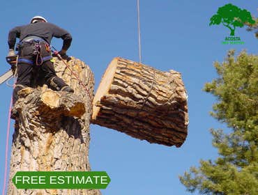 Photos by Acosta Tree Service Inc #20
