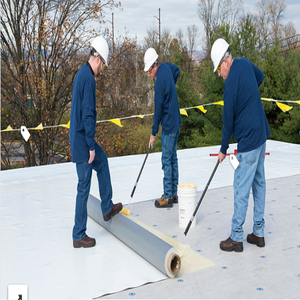 Photos by Carmine Roofing Service #1