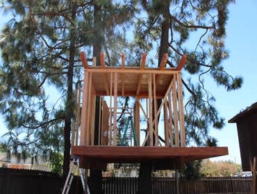 Treehouse framing in progress