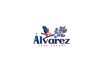 Photos by Alvarez Tree Expert- Tree Service- Tree Removal- (630) 201-8389 #1