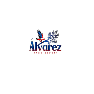 Photos by Alvarez Tree Expert- Tree Service- Tree Removal- (630) 201-8389 #1