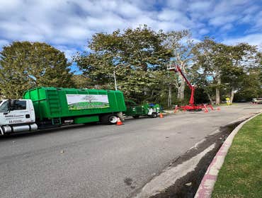 Photos by California Green Tree Care #1