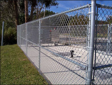 Chain Link