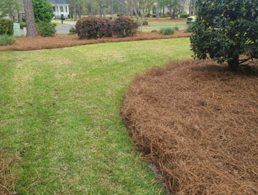 Photos by Dominguez Lawn Care #1
