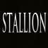 Photo(s) from Stallion Total Painting Stallion Paint always strives to provide you with professional, quality service that far surpasses other painting