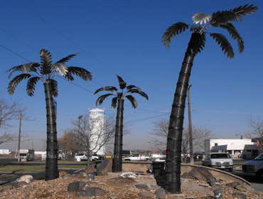 Metal Palm Trees