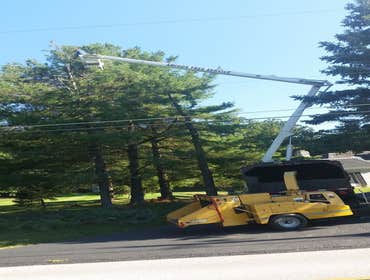 Photos by Amigos Lawn Care & Tree Service #1