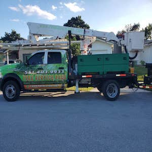 Tree Trimming Service