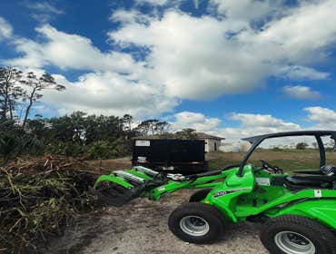 Photos by Arbobella Tree Service #1
