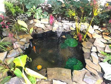 Photos by Landscape Therapy LLC #1