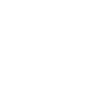 Executive Custom Homes
