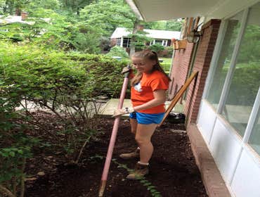 clean up, beautification