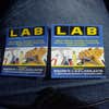 L.A.B Renovations and Contracting Services LLC logo