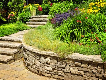 FiveSTAR Landscape Project