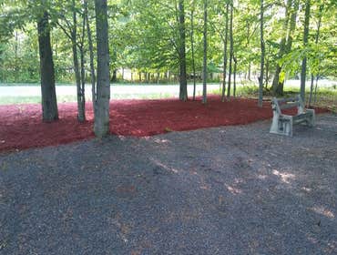 Photos from Lozenski Tree and Construction