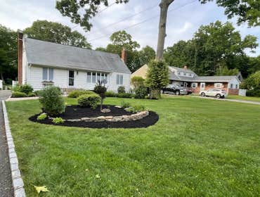Garden planting with design