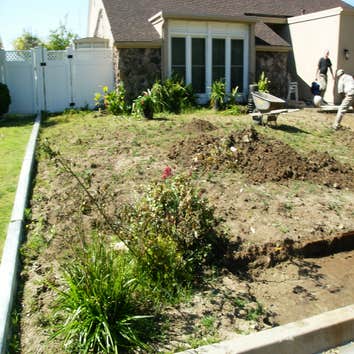 Brickwall & pathway Currently working with the client to give them the perfect landscape design (more pictures to follow).