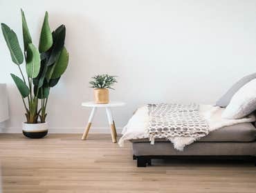 Photos by Wholesale Floorings #1