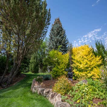 Photos by Aloha Gardening #1
