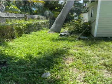 The Grace Landscaping LLC