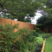 8' Cedar Fence with 10' steel poles