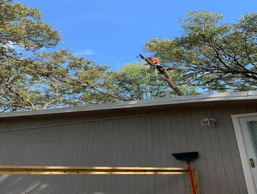 Photos by K-perez Tree Services #1