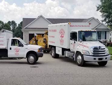 Photos by Mark's Professional Tree Service #1