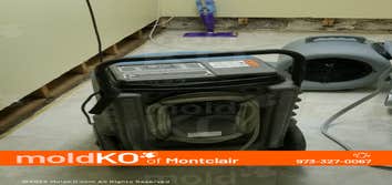 Mold Ko of Montclair