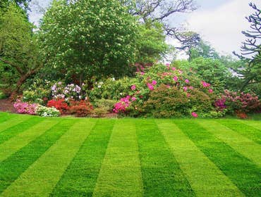 Project photos from Happy Face Lawn Care Service We are a trusted company that has experience in what we do. We give free estimates and also give our c