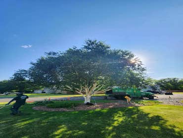 Photos by Artistic Treeworks #1