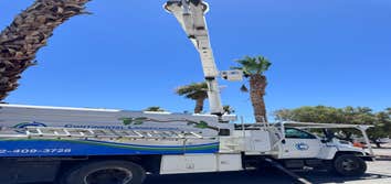 Continental Landscaping Services LLC