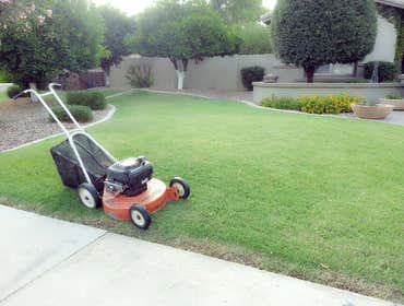Landscaping