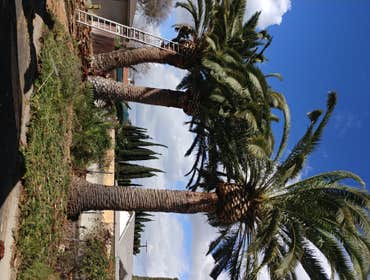Photos by Workgrove Landscape Inc #1