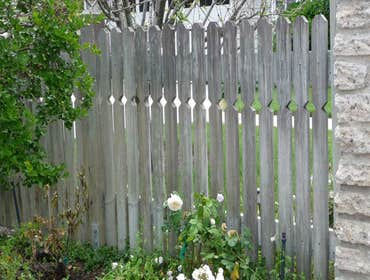 Fences