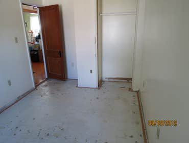 Doors,Trim and Paint