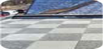 Paver Sidewalks & Roofs