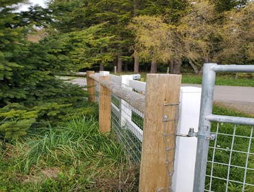 Wire and Chain Link