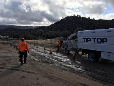 Kern County Mud and Trees