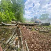 Jl Tree Service