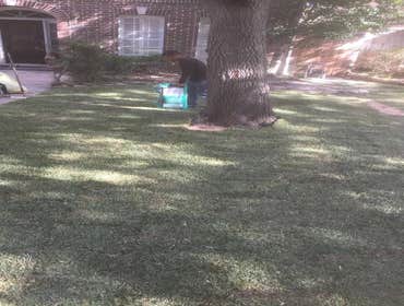 Photos by Marcial Martinez Landscaping #4