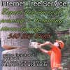 Internets Tree Service logo