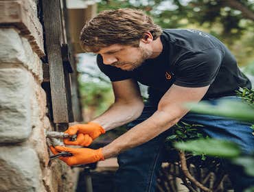 Photos by the plumbing Pros #1