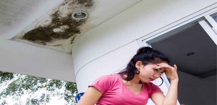 Photos by Glass City Water Damage Experts #1
