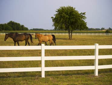 Future Outdoors Vinyl Fences Future Outdoors provides fence installations of many different styles and colors of vinyl fences. These fences are made of