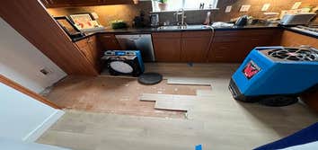 RestoreX Restoration | Water Damage Restoration and Mold Removal California