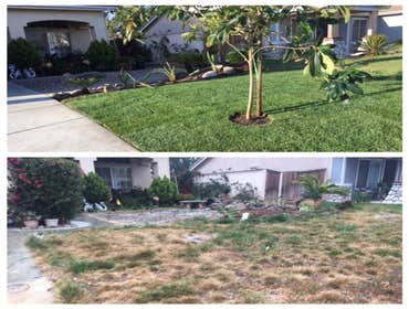 Photos by Outside Solution Landscaping #1