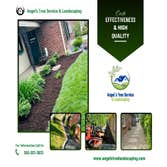 Photos by Angel's Tree Service & Landscaping #1