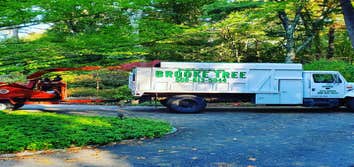 Brooke Tree Co