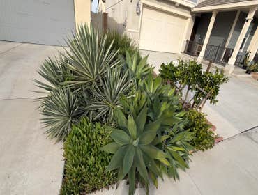 Photos by Monarch Landscape & Design #1